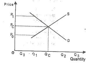 A) fall because there is a surplus 