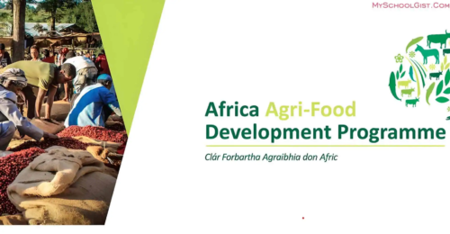 Apply Now: Africa Agri-Food Development Programme Grants for 2024