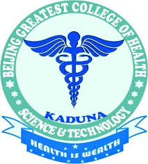 Beijing College of Health Sciences and Technology 2024/2025 Admission Form