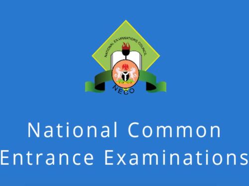 How to Check National Common Entrance Examination (NCEE) 2024 Results Online