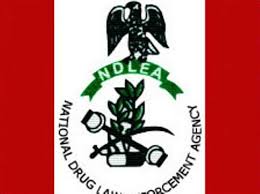 NDLEA Proposes Mandatory Drug Testing for New University Students