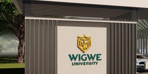 Wigwe University Merit Scholarship For Nigerian Students 2024