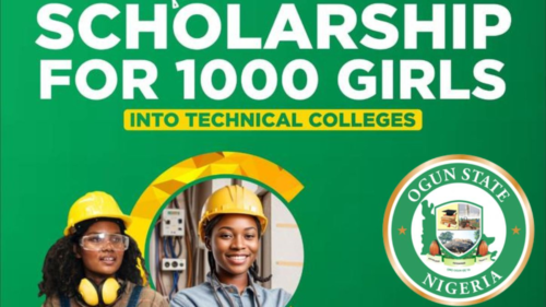 Apply for the Ogun State Government TVET Scholarship 2024