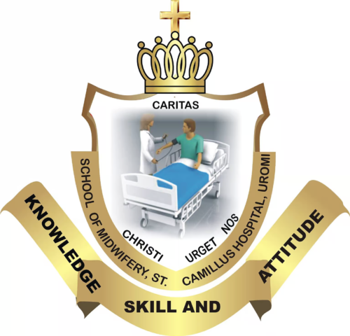 St. Camillus College of Nursing Sciences Uromi Admission for 2024/2025 Academic Session