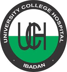 Apply for UCH Ibadan Occupational Health Nursing Programme 2024/2025