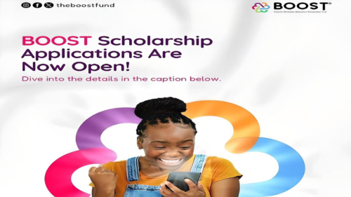 Bolanle Olufolake Opeyokun Scholarship Trust (BOOST) Fund Application for Female Students in ICT