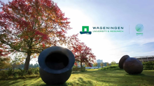 Wageningen University & Research Africa Scholarship Programme 2025