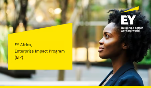 EY Africa Enterprise Impact Program 2025