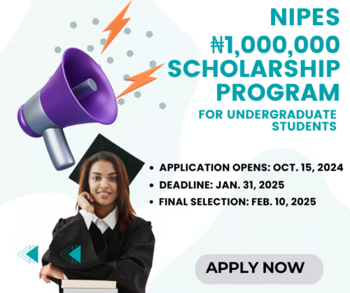 NIPES Scholarship Programme for Undergraduates 2025