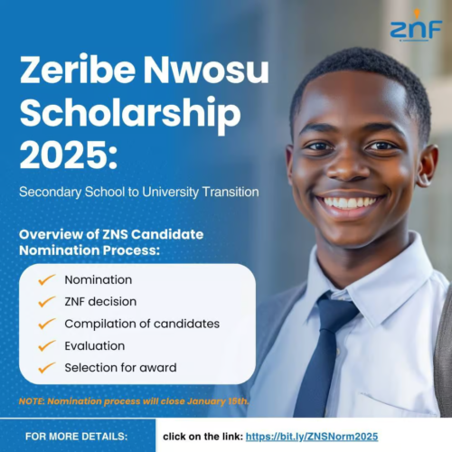 Zeribe Nwosu Foundation 2025 Scholarship Programme for Secondary School Students