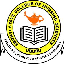 Ebonyi College of Nursing Supplementary Admission Form 2025