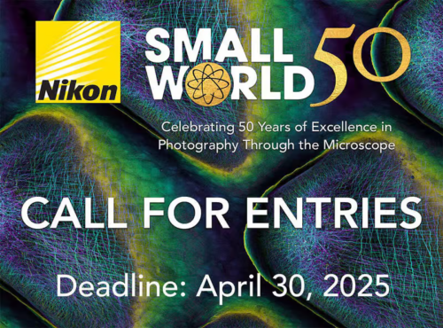 Enter the Nikon Small World Competition 2025