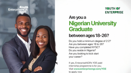 Apply for EnterpriseNGR Youth Internship Cohort 6
