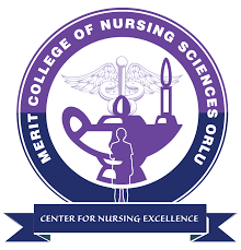Merit College of Nursing Post-UTME Form for 2025/2026 Admission