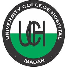 UCH Ibadan Occupational Health Nursing Admission Form 2025/2026