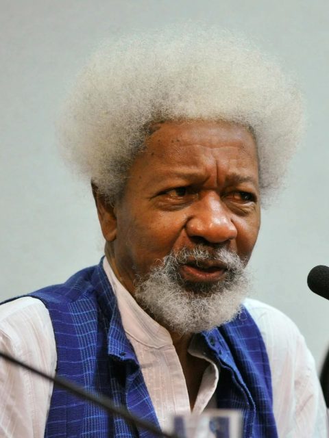 Jamb Literature Poetry: Wole Soyinka (Night)